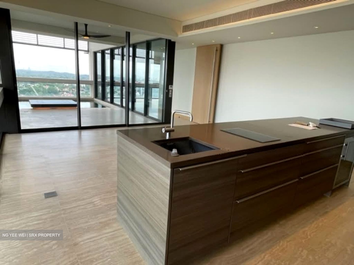Hana (D10), Condominium #545944781